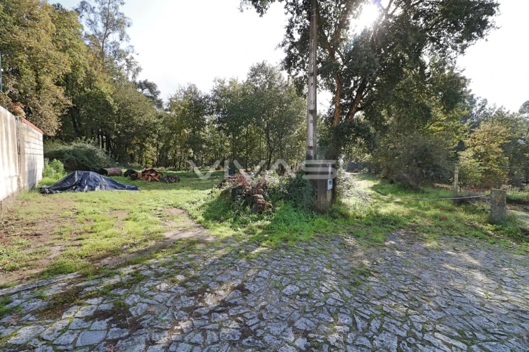 Terreno Agricola ou Rústico para Venda em Ferreiros, Prozelo e Besteiros Foto 6