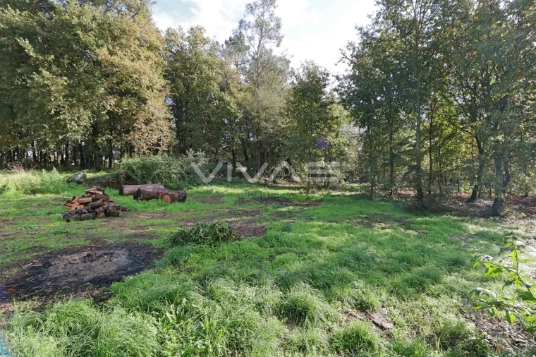 Terreno Agricola ou Rústico para Venda em Ferreiros, Prozelo e Besteiros