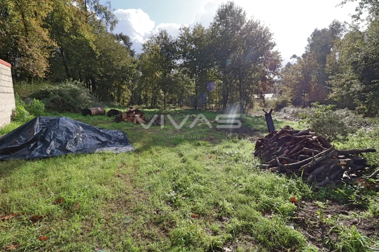 Terreno Agricola ou Rústico para Venda em Ferreiros, Prozelo e Besteiros Foto 2