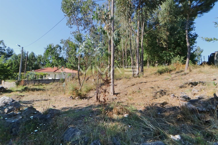 Terreno para Venda em Vila Verde e Barbudo Foto 2