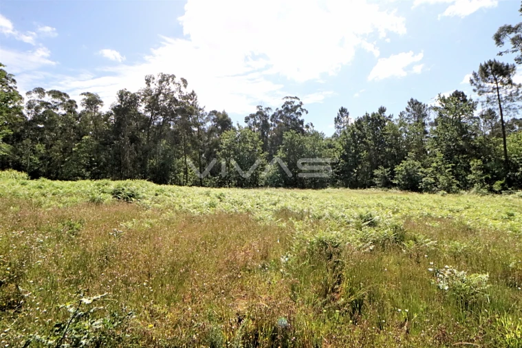 Terreno Agricola ou Rústico para Venda em Cervães Foto 2