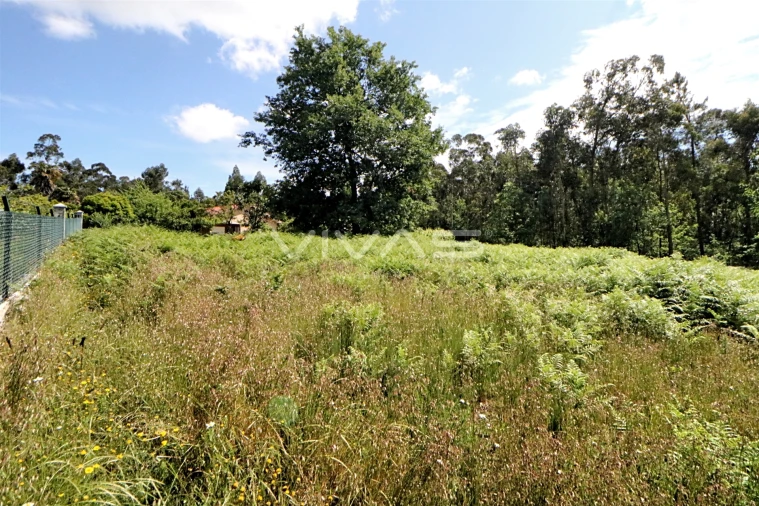 Terreno Agricola ou Rústico para Venda em Cervães Foto 3