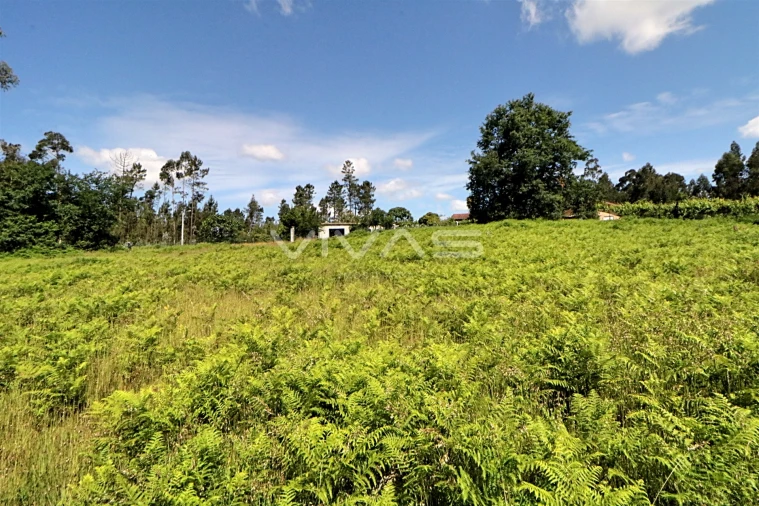 Terreno Agricola ou Rústico para Venda em Cervães Foto 6