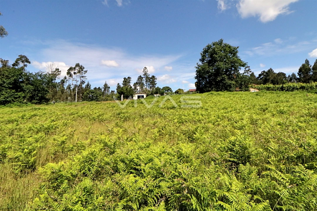 Terreno Agricola ou Rústico para Venda em Cervães Foto 6