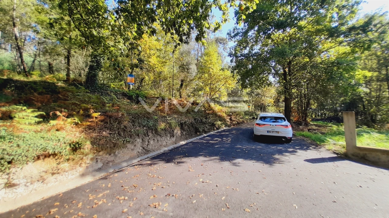Terreno Agricola ou Rústico para Venda em Dornelas Foto 8