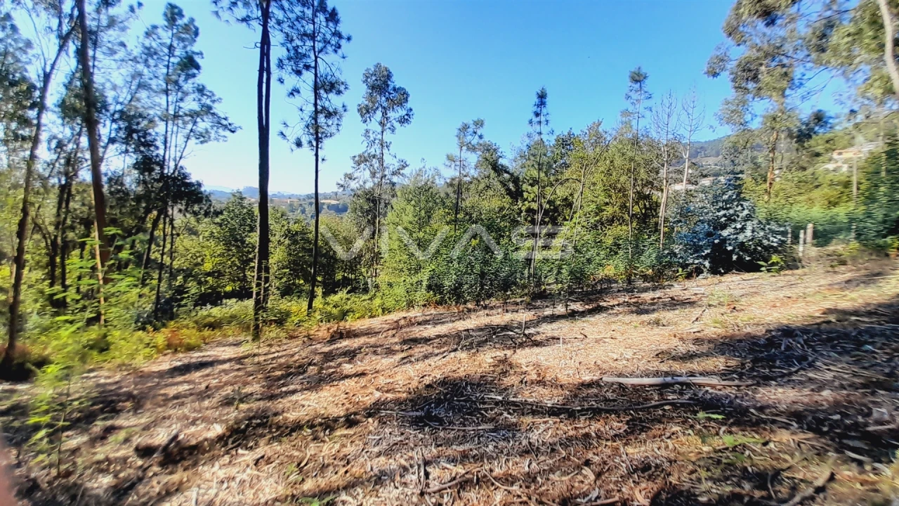 Terreno Agricola ou Rústico para Venda em Dornelas Foto 4