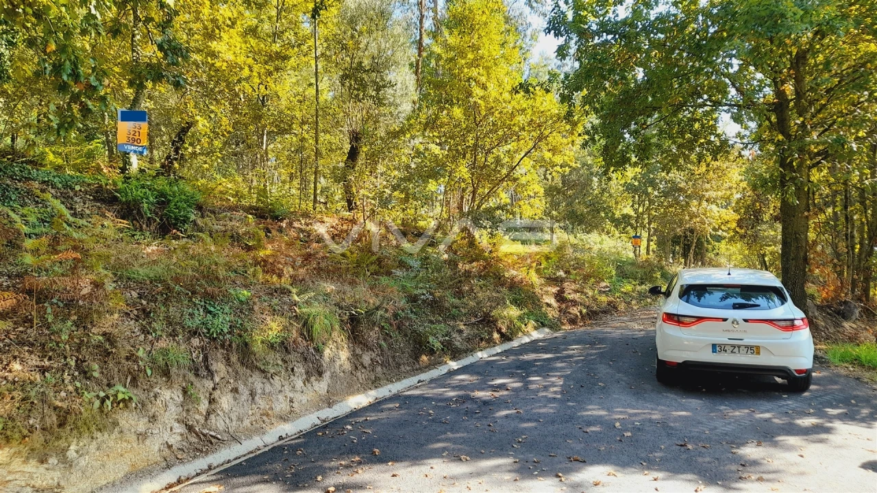 Terreno Agricola ou Rústico para Venda em Dornelas Foto 7