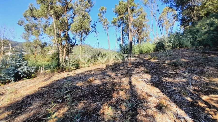 Terreno Agricola ou Rústico para Venda em Dornelas Foto 5