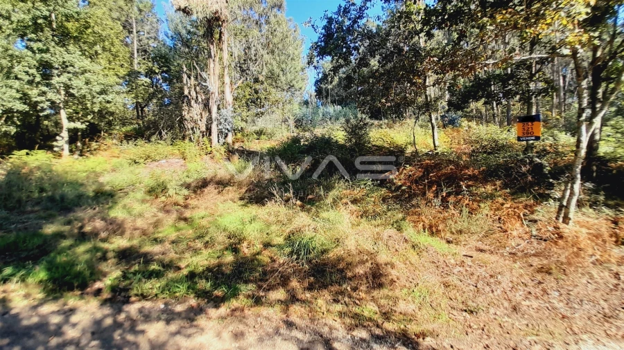 Terreno Agricola ou Rústico para Venda em Dornelas Foto 2