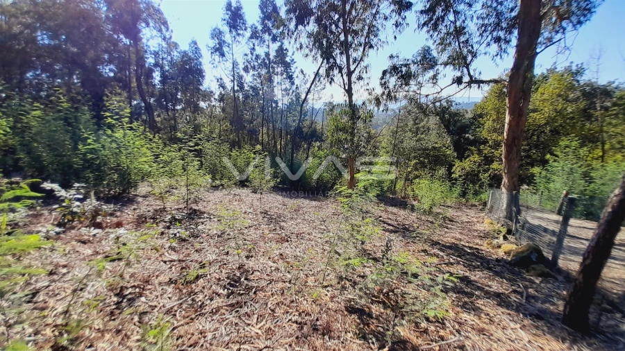 Terreno Agricola ou Rústico para Venda em Dornelas Foto 6
