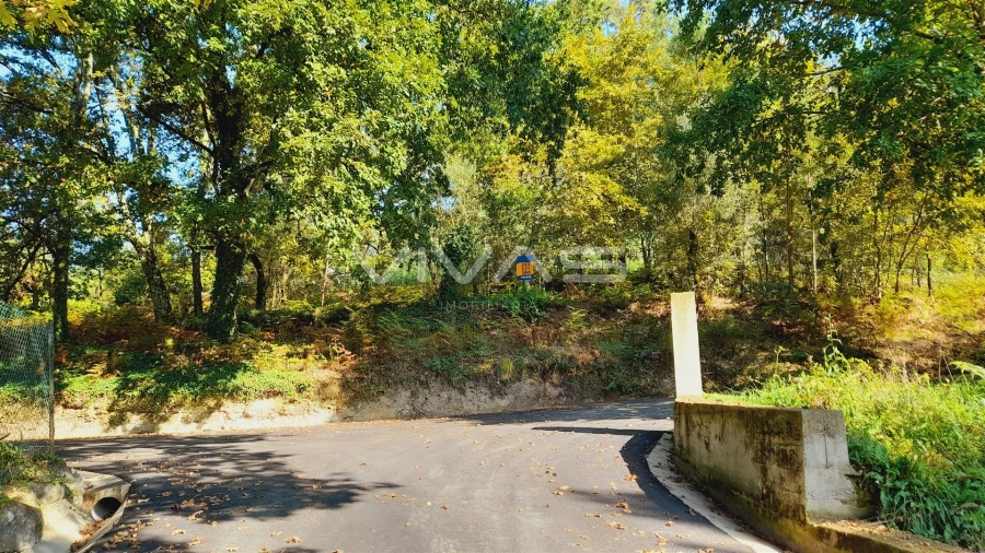Terreno Agricola ou Rústico para Venda em Dornelas Foto 9