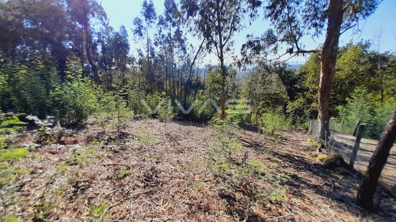 Terreno Agricola ou Rústico para Venda em Dornelas Foto 6