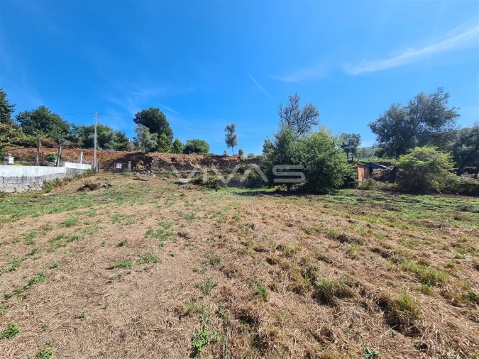 Terreno Agricola ou Rústico para Venda em Ribeira do Neiva Foto 6