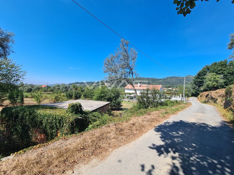 Terreno Agricola ou Rústico para Venda em Ribeira do Neiva Foto 7