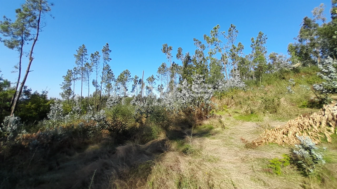 Terreno Agricola ou Rústico para Venda em Caires Foto 3