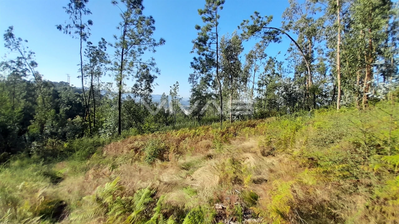 Terreno Agricola ou Rústico para Venda em Caires Foto 5