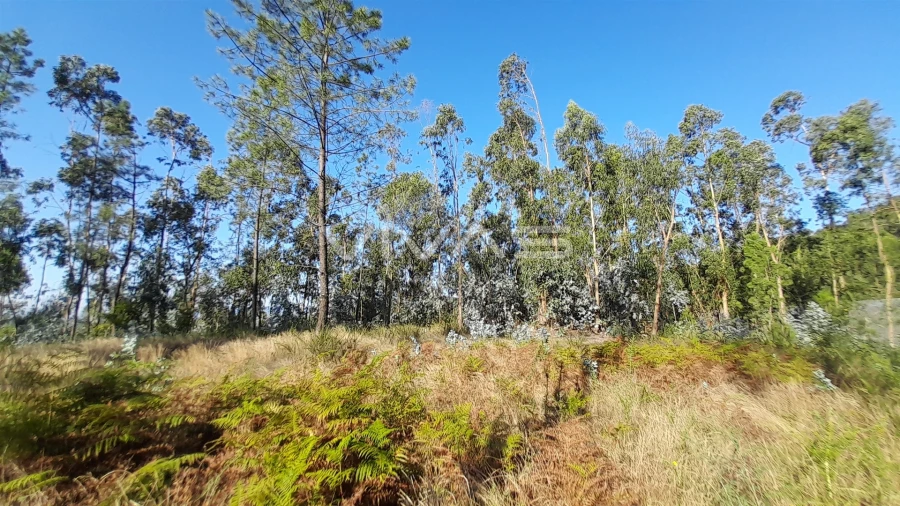 Terreno Agricola ou Rústico para Venda em Caires Foto 6