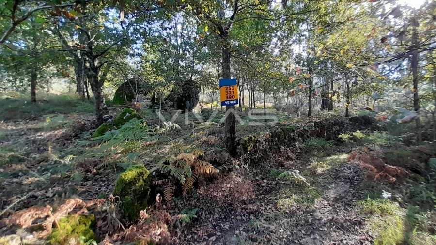 Terreno Agricola ou Rústico para Venda em Caires Foto 1