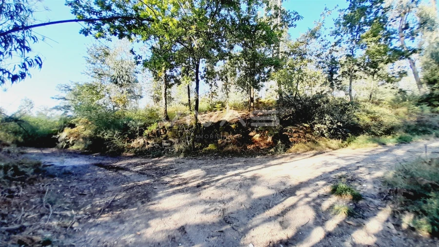 Terreno Agricola ou Rústico para Venda em Caires Foto 7