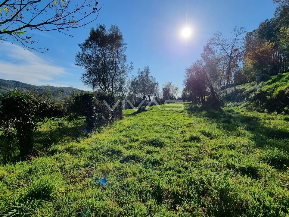 Moradia T0 para Venda em Ribeira do Neiva Foto 12