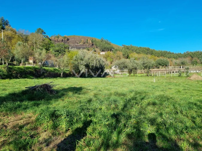 Moradia T0 para Venda em Ribeira do Neiva Foto 9