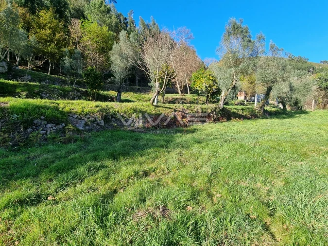 Moradia T0 para Venda em Ribeira do Neiva Foto 8