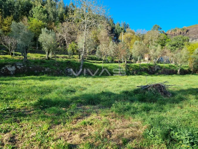 Moradia T0 para Venda em Ribeira do Neiva Foto 11