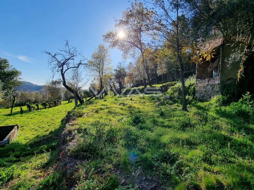 Moradia T0 para Venda em Ribeira do Neiva Foto 14