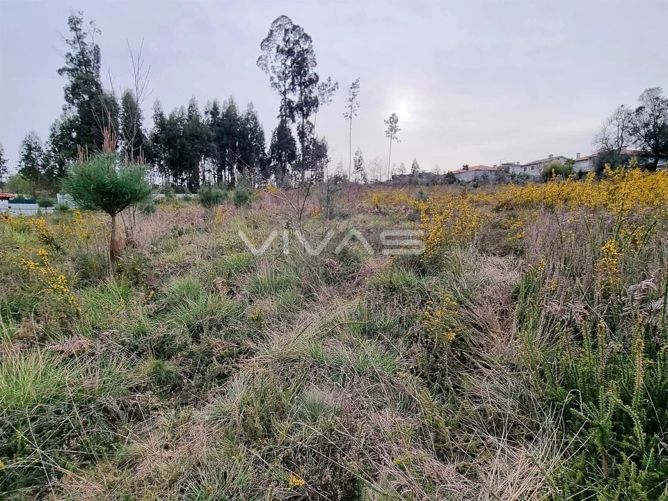Terreno para Venda em Oleiros Foto 6