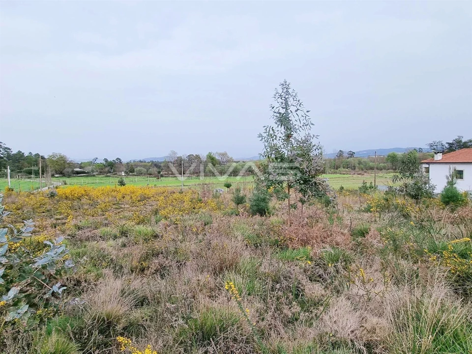 Terreno para Venda em Oleiros Foto 4