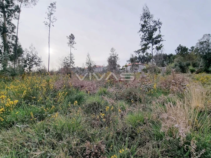 Terreno para Venda em Oleiros Foto 7