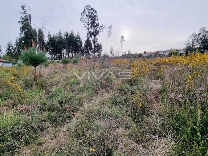 Terreno para Venda em Oleiros Foto 6