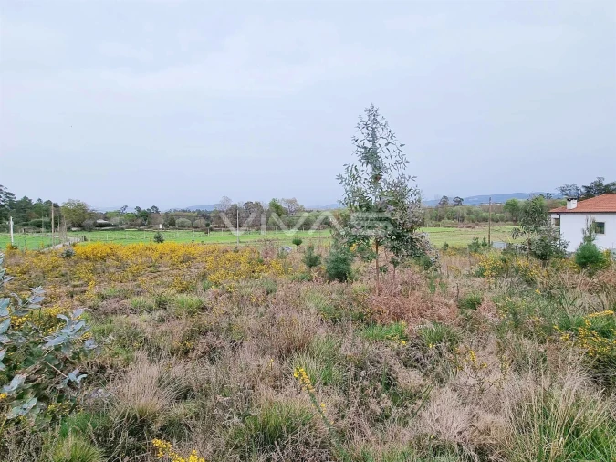 Terreno para Venda em Oleiros Foto 4