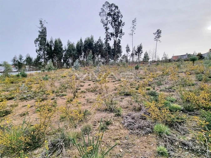 Terreno para Venda em Oleiros Foto 2
