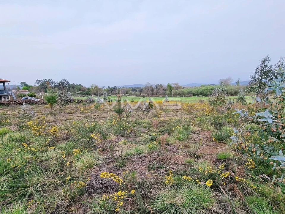 Terreno para Venda em Oleiros Foto 5