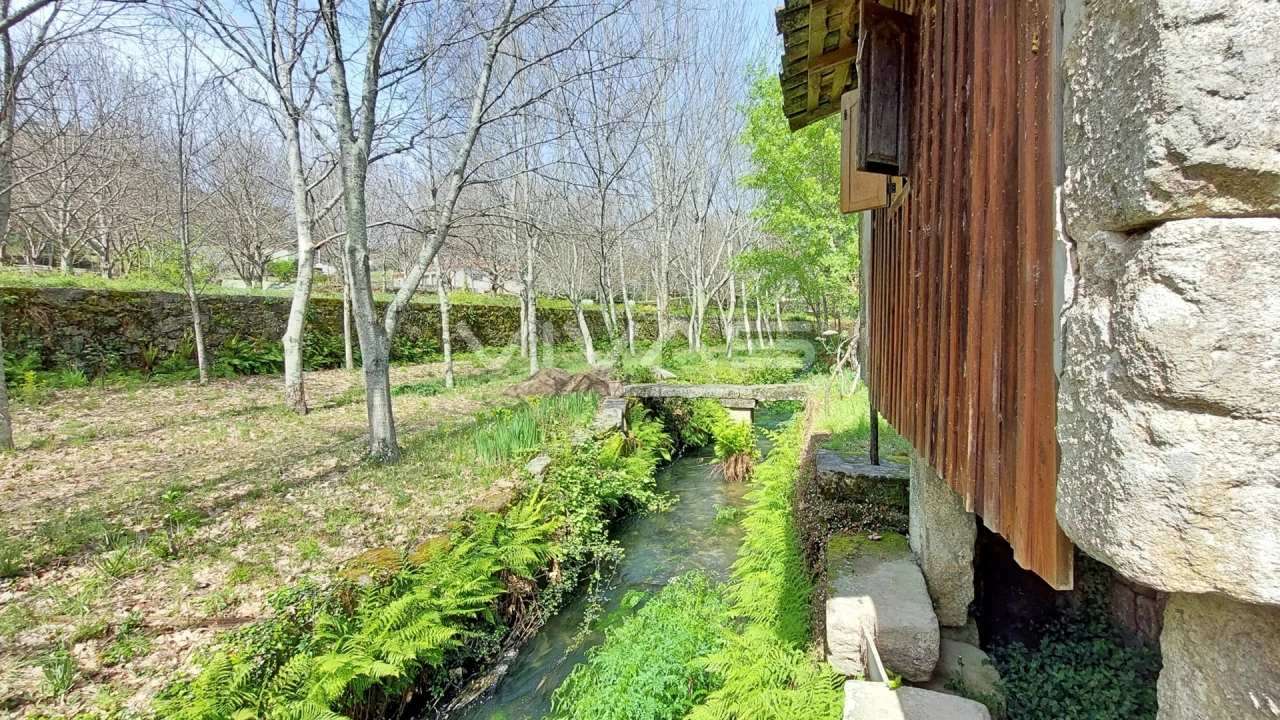 Moradia T0 para Venda em Sabariz Foto 8