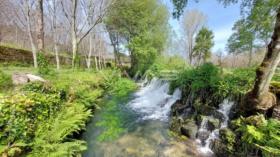 Moradia T0 para Venda em Sabariz Foto 12