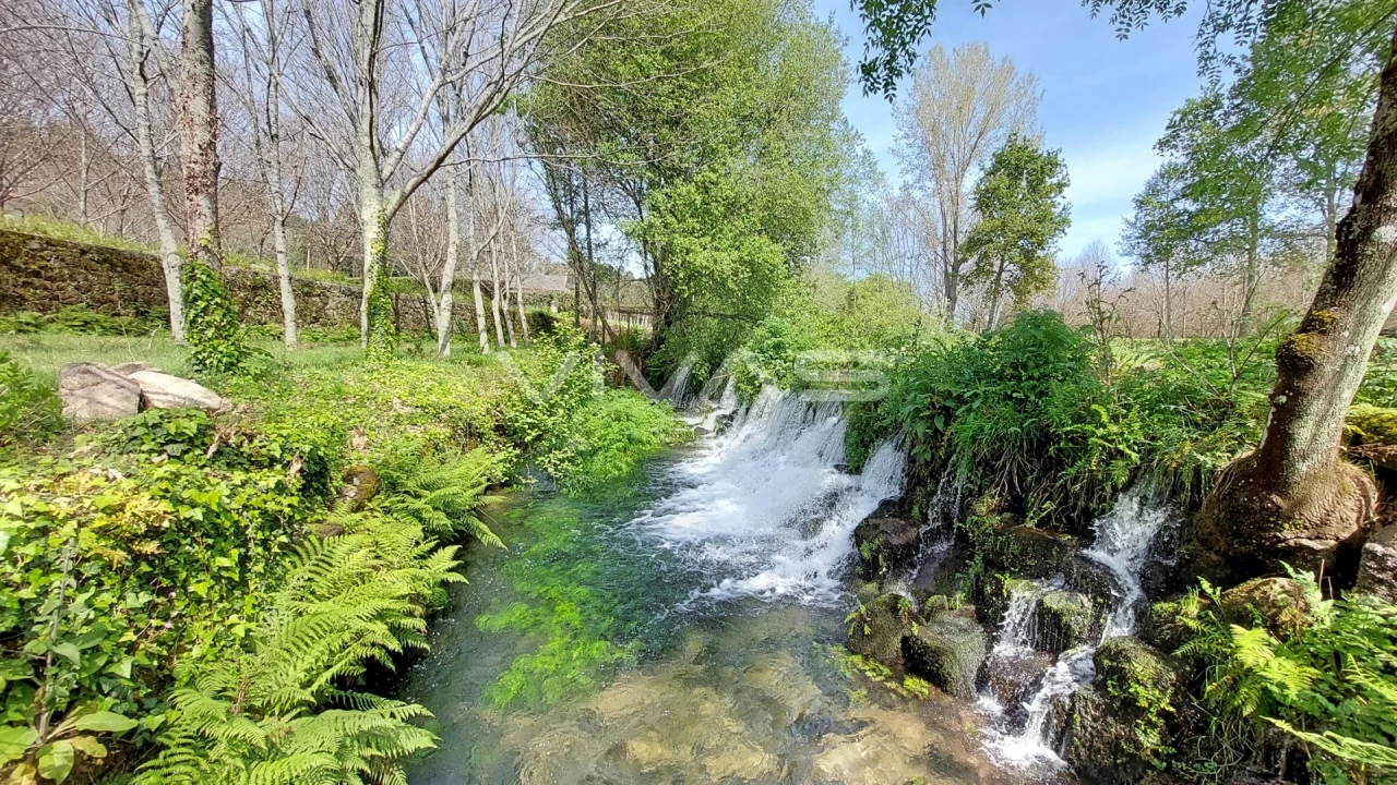 Moradia T0 para Venda em Sabariz Foto 12