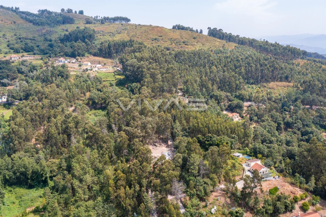 Terreno para Venda em Carreiras (São Miguel) e Carreiras (Santiago) Foto 5