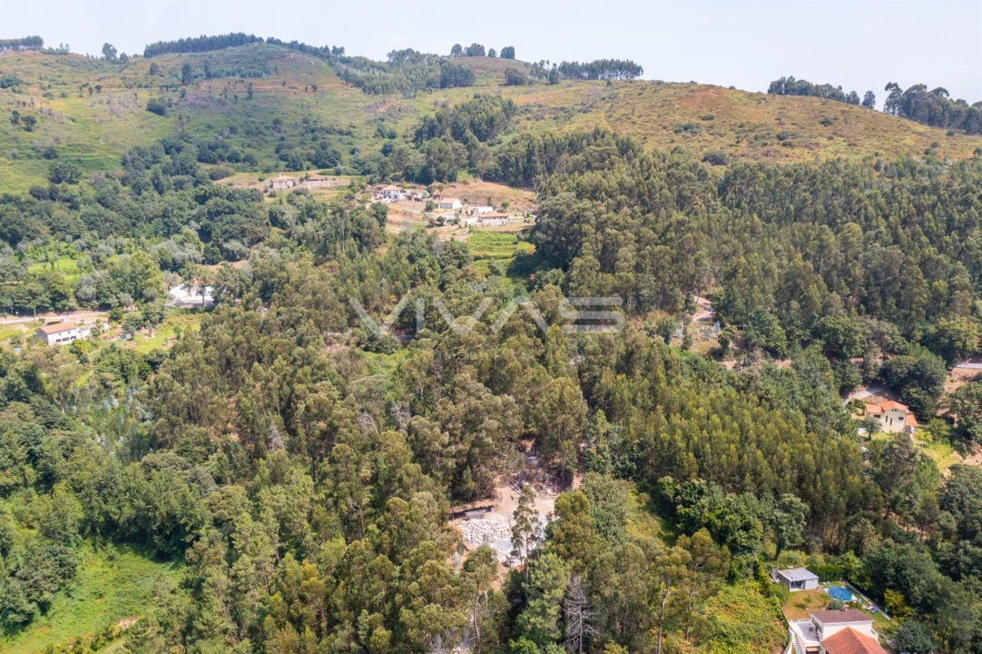 Terreno para Venda em Carreiras (São Miguel) e Carreiras (Santiago) Foto 6
