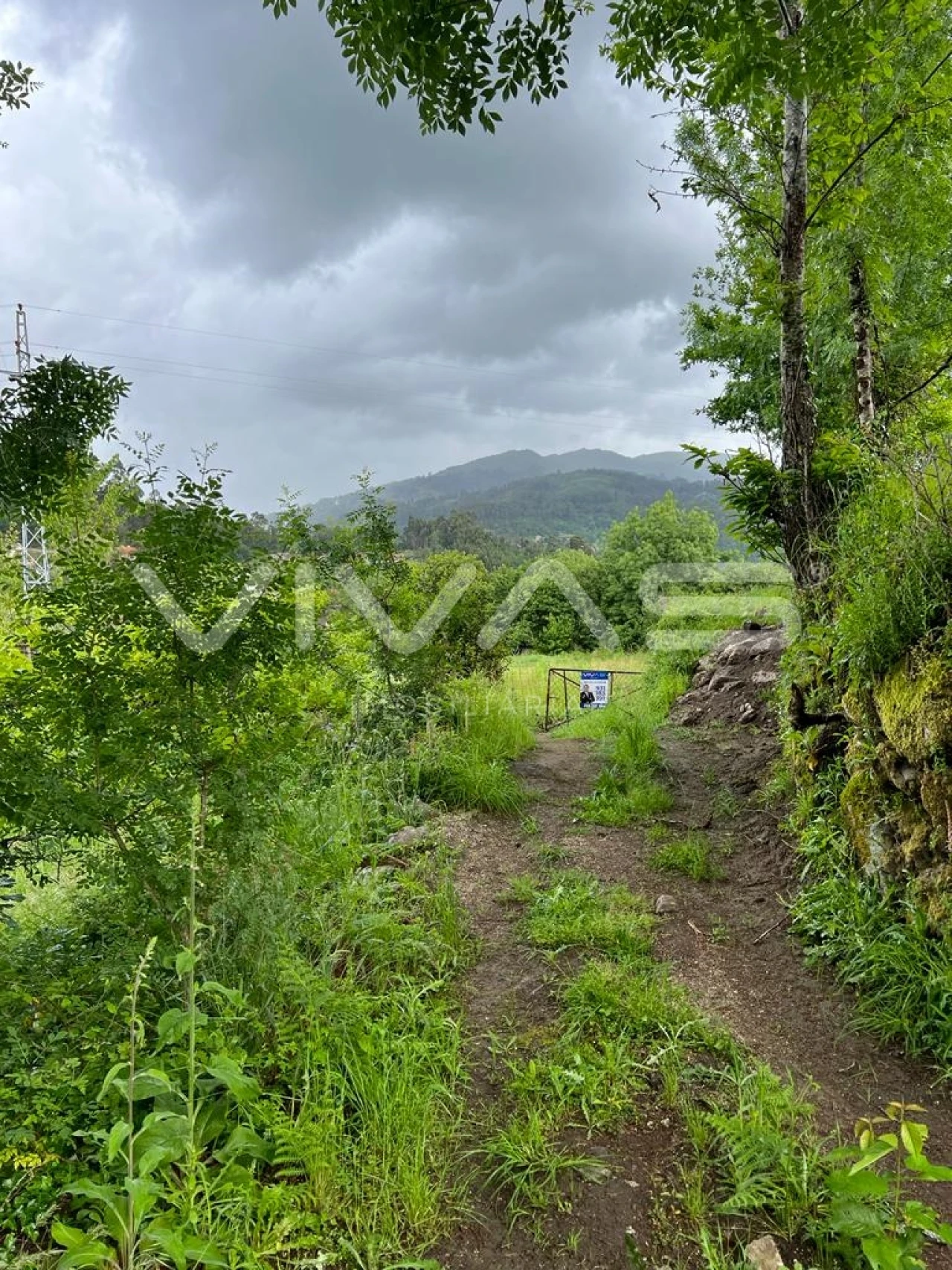 Terreno para Venda em Vade Foto 5