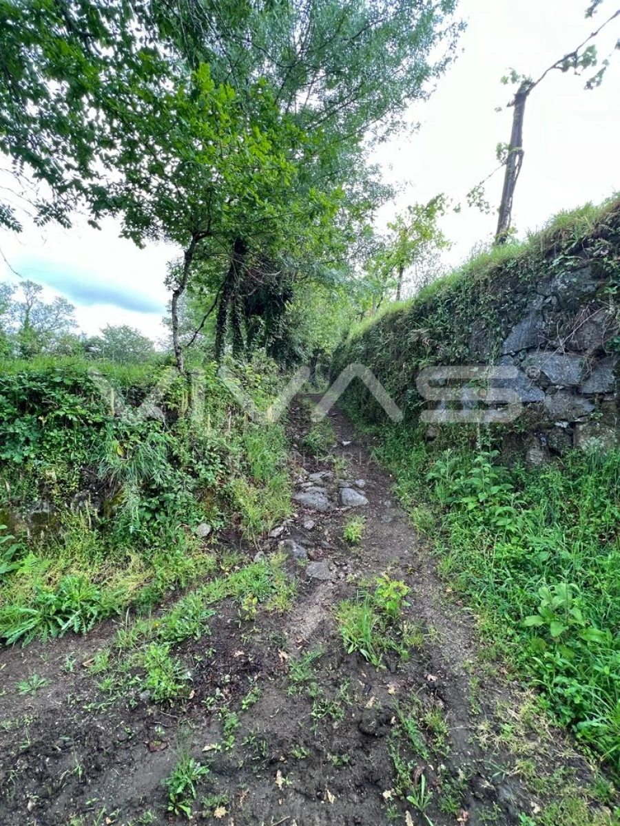 Terreno para Venda em Vade Foto 6