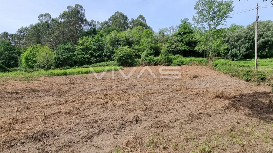 Terreno para Venda em Esqueiros, Nevogilde e Travassós Foto 7