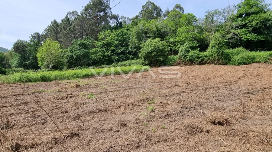 Terreno para Venda em Esqueiros, Nevogilde e Travassós Foto 5