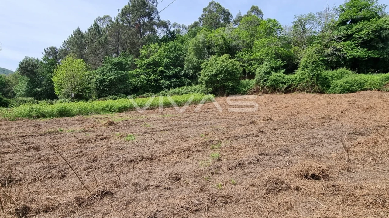 Terreno para Venda em Esqueiros, Nevogilde e Travassós Foto 5