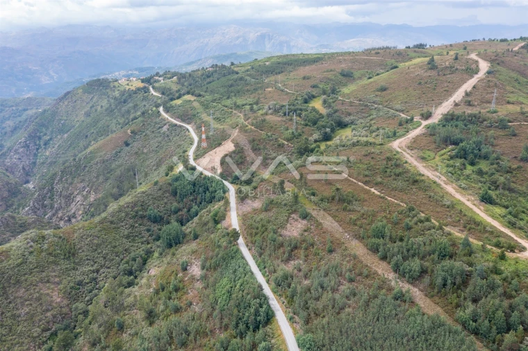 Quinta T0 para Venda em Ferral Foto 10