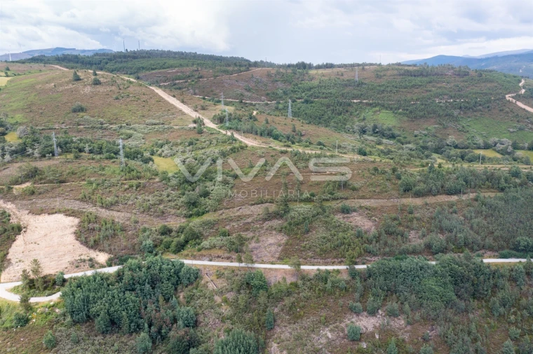 Quinta T0 para Venda em Ferral Foto 6