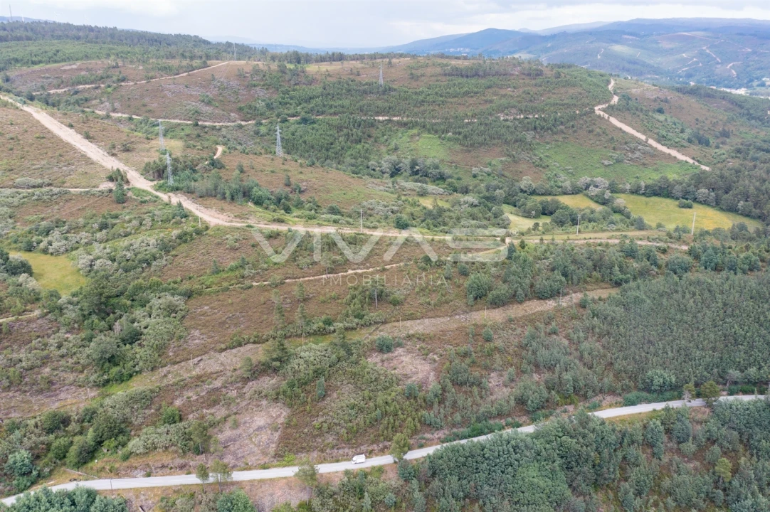 Quinta T0 para Venda em Ferral Foto 7