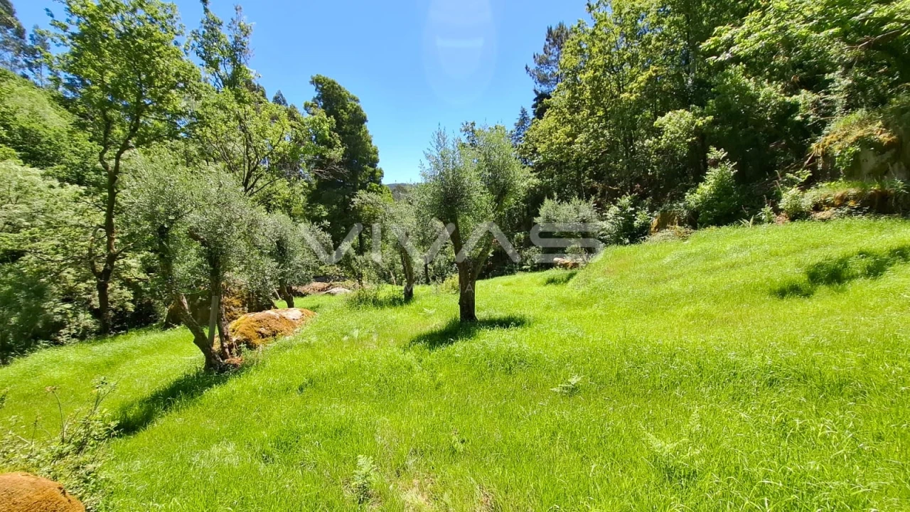 Moradia T0 para Venda em Vilar da Veiga Foto 24