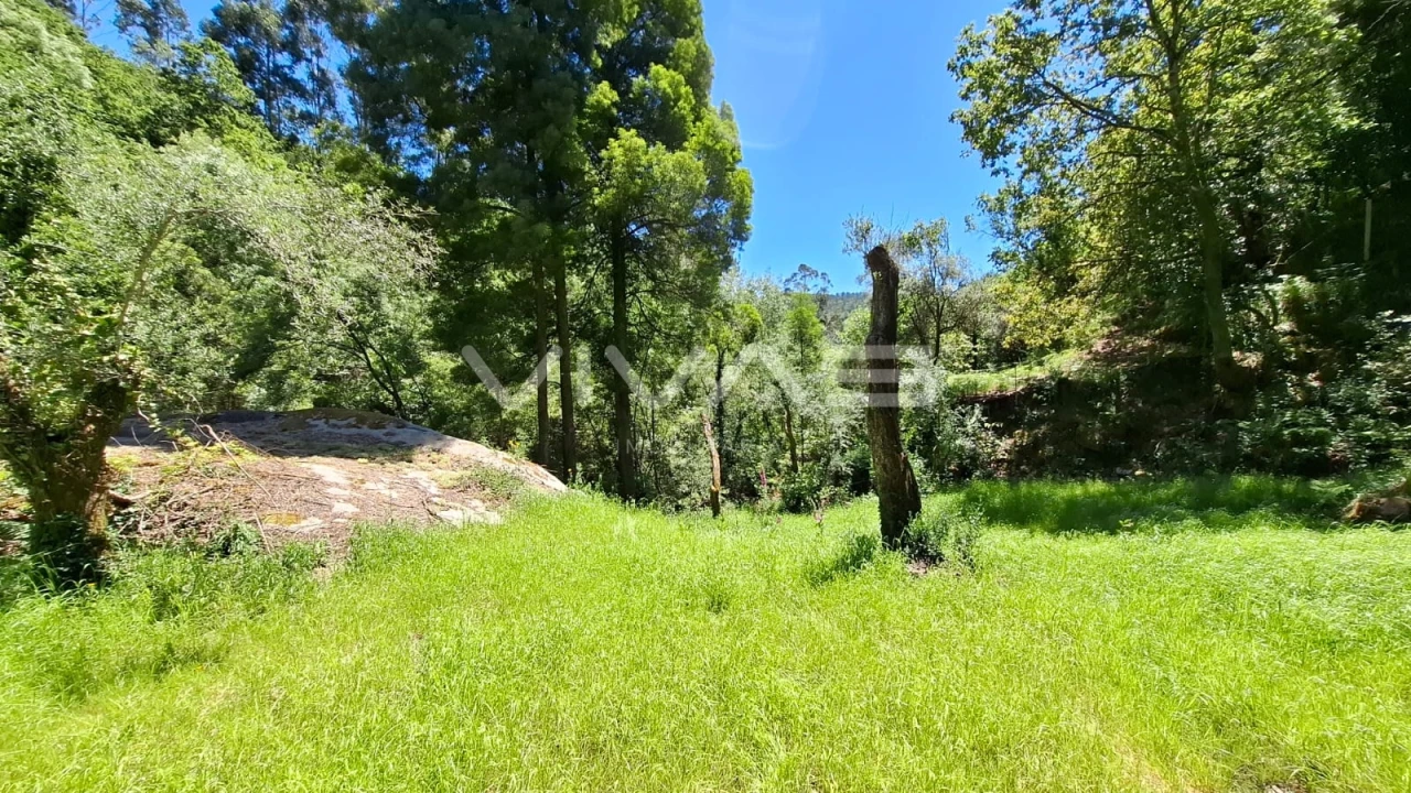 Moradia T0 para Venda em Vilar da Veiga Foto 18